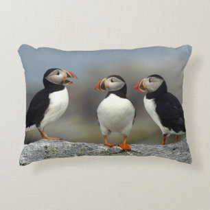 Atlantische Papegaaiduikers Groep Decoratief Kussen