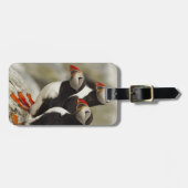 Atlantische papegaaiduikers op Machias Seal Island Bagagelabel (Voorkant horizontaal)