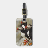 Atlantische papegaaiduikers op Machias Seal Island Bagagelabel (Voorkant verticaal)