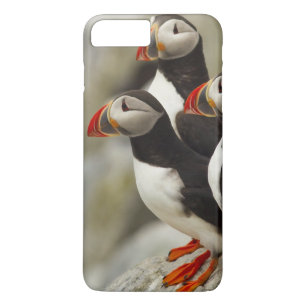 Atlantische papegaaiduikers op Machias Seal Island Case-Mate iPhone Case