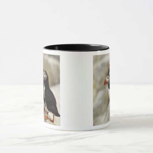 Atlantische papegaaiduikers op Machias Seal Island Mok (Midden)