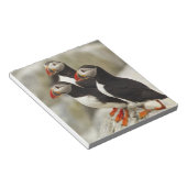 Atlantische papegaaiduikers op Machias Seal Island Notitieblok (Schuin)