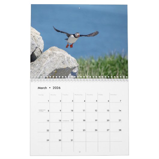 Atlantische papegaaien 2026 kalender (Mar 2026)