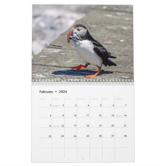 Atlantische papegaaien 2026 kalender (Feb 2026)