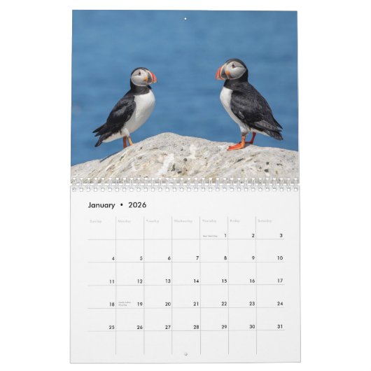 Atlantische papegaaien 2026 kalender (Jan 2026)