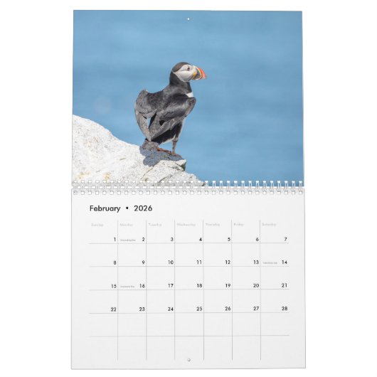 Atlantische papegaaien 2026 kalender (Feb 2026)