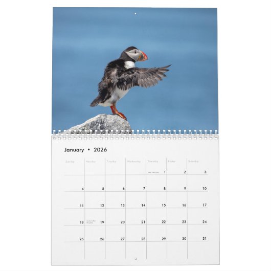 Atlantische papegaaien 2026 kalender (Jan 2026)