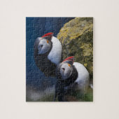 Atlantische Puffin (Fratercula arctica) 7 Legpuzzel (Verticaal)
