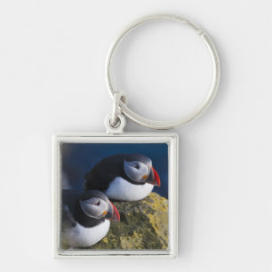 Atlantische Puffin (Fratercula arctica) 7 Sleutelhanger