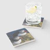 Atlantische Puffin (Fratercula arctica) 7 Stenen Onderzetter (Zijkant)