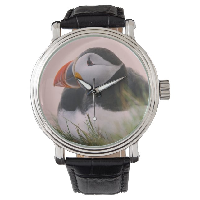 Atlantische Puffin (Fratercula arctica) Horloge (Voorkant)
