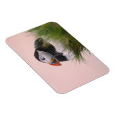 Atlantische Puffin (Fratercula arctica) Magneet (Rechterzijde)