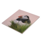 Atlantische Puffin (Fratercula arctica) Tegeltje (Zijkant)