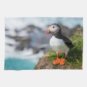 Atlantische Puffin Fratercula Arctica Theedoek