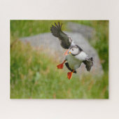 Atlantische Puffin-vogel met spatvleugels Legpuzzel (Horizontaal)
