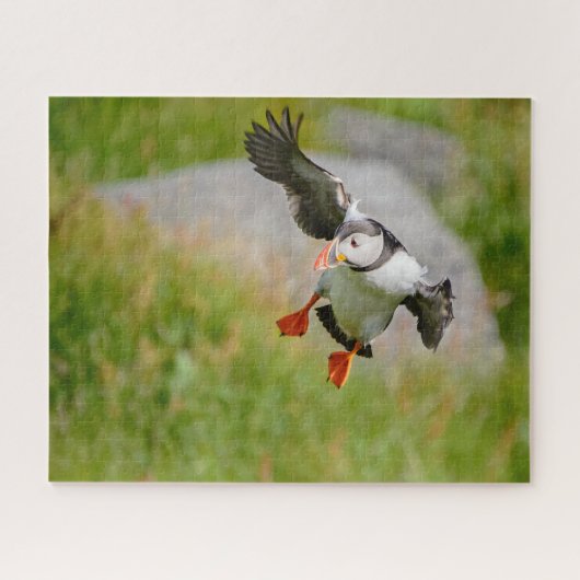 Atlantische Puffin-vogel met spatvleugels Legpuzzel (Horizontaal)