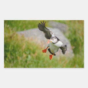 Atlantische Puffin vogel vliegende rechthoekige st Rechthoekige Sticker