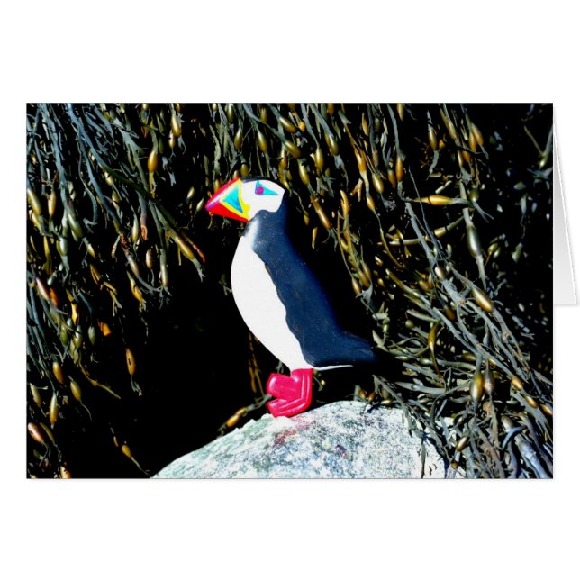 Atlantische puffinkaart (Voorkant Horizontaal)