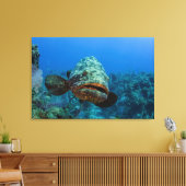 Atlantische Reuzenzeebaars Canvas Afdruk (Insitu (Woonkamer))