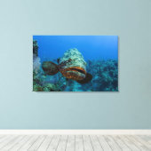 Atlantische Reuzenzeebaars Canvas Afdruk (Insitu (Houten vloer))