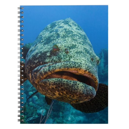 Atlantische Reuzenzeebaars Notitieboek (Voorkant)
