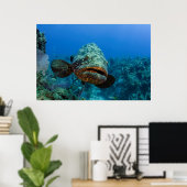 Atlantische Reuzenzeebaars Poster (Thuiskantoor)