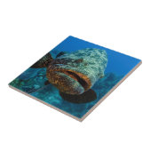 Atlantische Reuzenzeebaars Tegeltje (Zijkant)