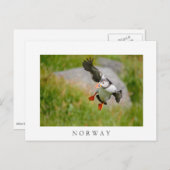 Atlantische vogel met witte briefkaart (Voorkant / Achterkant)