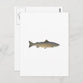 Atlantische zalm briefkaart (Voorkant / Achterkant)