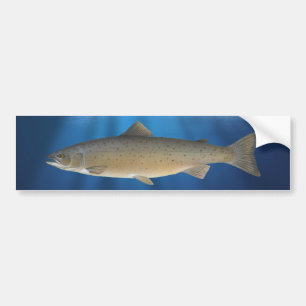 Atlantische zalm - Bumpersticker