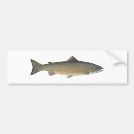 Atlantische zalm bumpersticker