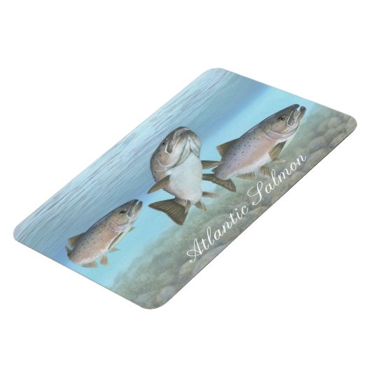 Atlantische zalm schilderij magneet (Linkerzijde)