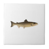 Atlantische zalm tegeltje (Voorkant)