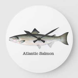 Atlantische zalmvis grote klok