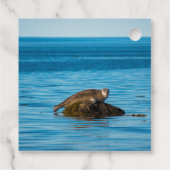 Atlantische zeehond bedankjes labels (Achterkant)