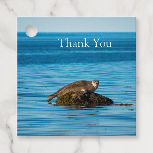 Atlantische zeehond bedankjes labels (Voorkant)