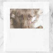 Atlas de Wonderhond Rechthoekige Sticker (Tas)