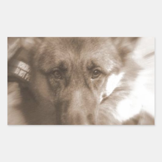 Atlas de Wonderhond Rechthoekige Sticker (Voorkant)