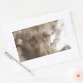 Atlas de Wonderhond Rechthoekige Sticker (Envelop)