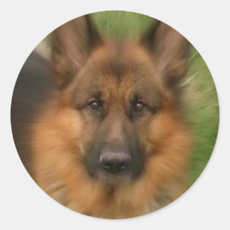 Atlas de Wonderhond Ronde Sticker