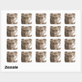 Atlas de Wonderhond Vierkante Sticker (Vel)