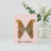 Atlas Moth Briefkaart (Staand voorkant)