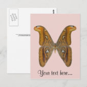 Atlas Moth Briefkaart (Voorkant / Achterkant)