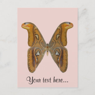 Atlas Moth Briefkaart