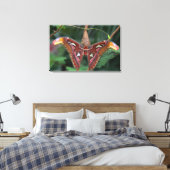 Atlas moth canvas afdruk (Insitu (Slaapkamer))