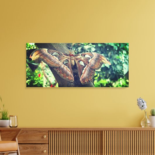 Atlas Moth Canvas Afdruk (Insitu (Woonkamer))