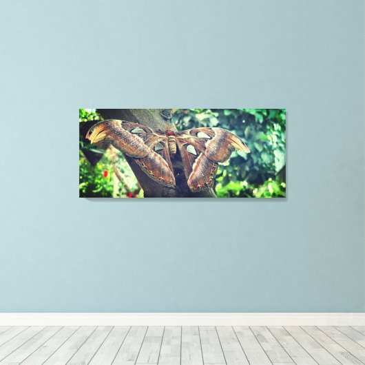 Atlas Moth Canvas Afdruk (Insitu (Houten vloer))