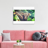 Atlas Moth Canvas Afdruk (Insitu (Woonkamer))