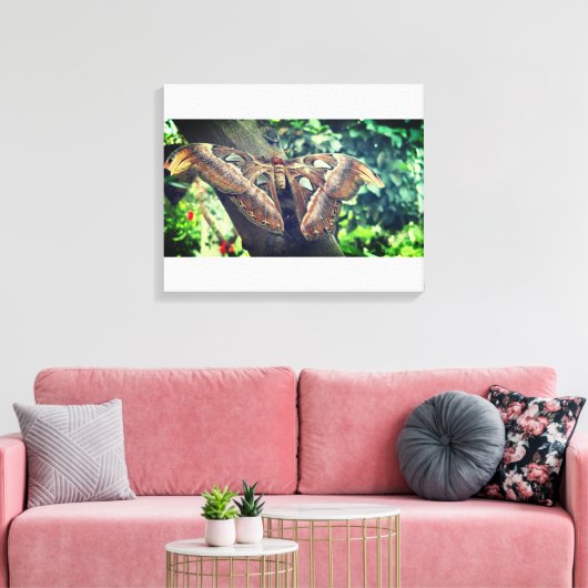 Atlas Moth Canvas Afdruk (Insitu (Woonkamer))