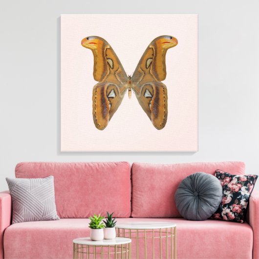 Atlas Moth Canvas Afdruk (Insitu (Woonkamer))